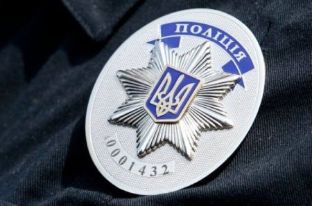 Полиция открыла дело об увольнении Соломатиной с НАПК