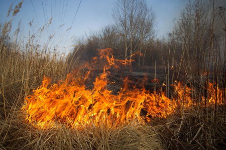 В нескольких украинских областях сохраняется чрезвычайная пожарная опасность