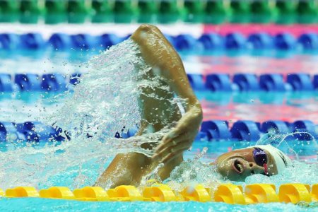 Семь спортсменов представят Украину на чемпионате Европы по плаванию на короткой воде