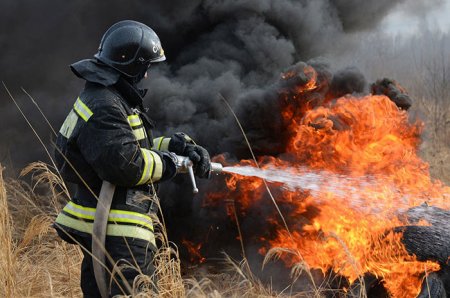 Пожарные борятся с тремя очагами пожаров в Житомирской области