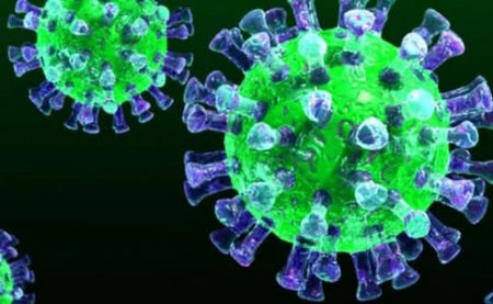 За сутки зафиксировано 578 новых случаев коронавируса в Украине