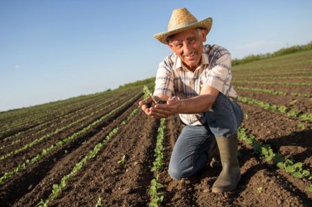 4 млрд гривен обещают выделить в правительстве на поддержку фермеров