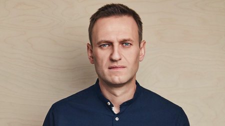 Украинская делегация отреагировала на задержание Алексея Навального