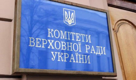 Специализированный комитет Рады рассматривает изменения в УК Украины и в КУоАП