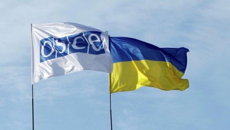 Украина направила ноту протеста ОБСЕ из-за гибели украинского военного на Донбассе