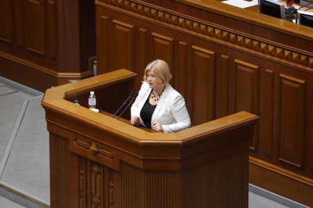 Геращенко: Из-за ханжества Рада не ратифицировала Стамбульскую конвенцию