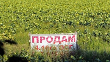 Участники боевых действий получили в собственность на Тернопольщине 93 земельных участка