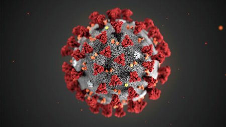В Украине зафиксированы еще два случая заражения коронавирусом