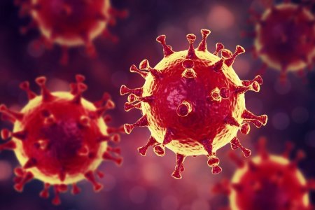 ПЦР-тесты для выявления коронавируса будут доставлены в лаборатории по всей стране до конца понедельника