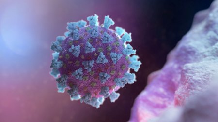 Пристайко: Украина может производить собственные высокоточные ПЦР-тесты на коронавирус