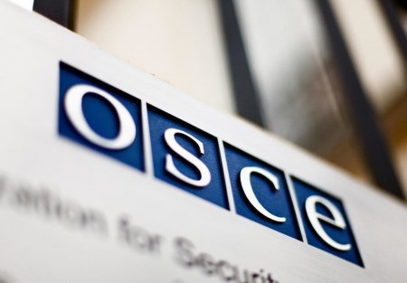Украина начала председательство в Форуме безопасности сотрудничества ОБСЕ