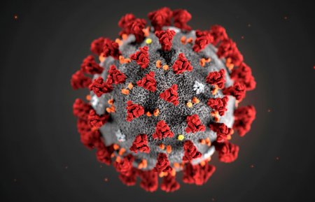 Новые пять случаев: в ВСУ рассказали про заболеваемость коронавирусом
