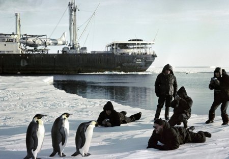 24-я украинская антарктическая экспедиция отправлена из Чили в Украину