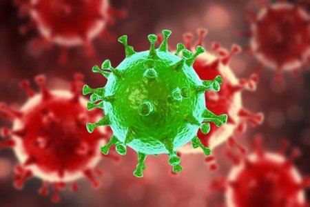 В Украине от коронавируса за время пандемии умерли более 600 человек